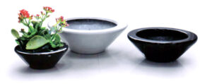 Plant Desk Bowls for Indoor Plant hire from Broadway Plantscapers