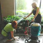 Broadway Plantscapers Indoor Garden Services tend to your plants 