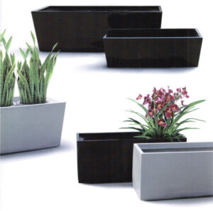 Long Pot | Through for Indoor Plant hire from Broadway Plantscapers